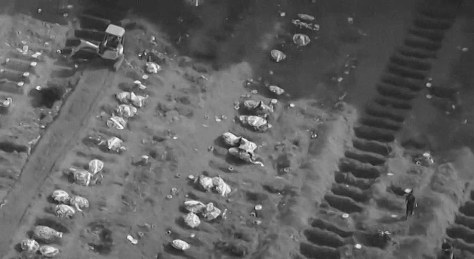 ���������� ����������� ������������ �������� �������� ���������� ������� � ���������������