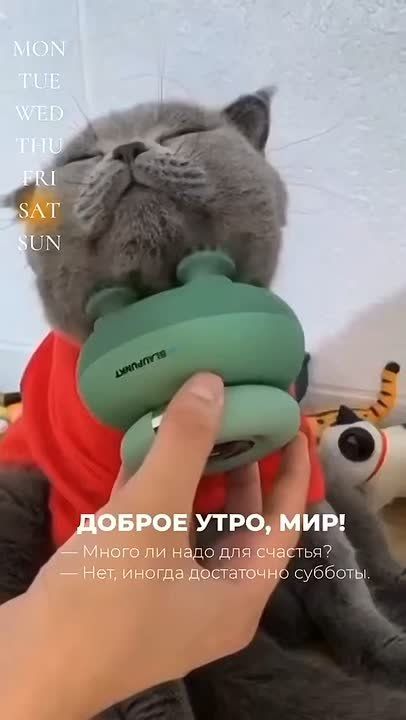 ������ ���� ����������� ����������� � ���, ����� ������� ���������� ������ ����