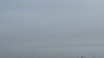 ���������� ������� ������ ����� �� ������ ������ ������ � ���������� �������