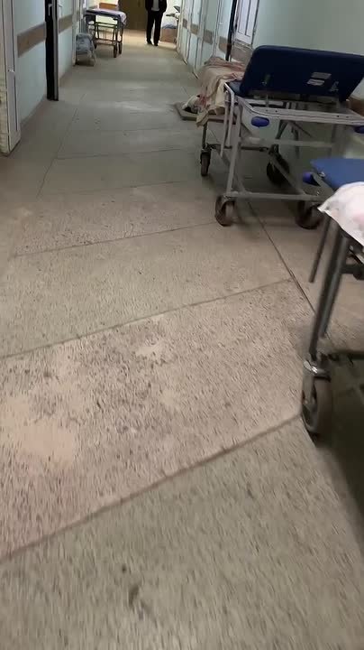 Посетители больницы городской больницы в Новомосковске пожаловались на антисанитарию и рычащую собаку в коридоре