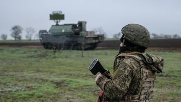 Украинские штурмовики "на верную смерть": как ВСУ теряли Березовое. Новости СВО к этому часу