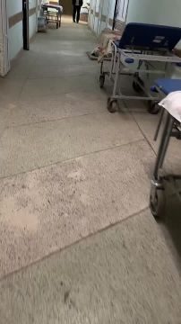 Посетители больницы городской больницы в Новомосковске пожаловались на антисанитарию и рычащую собаку в коридоре