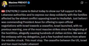 Армия Израиля чуть не убила главу МИД Бельгии в Ливане