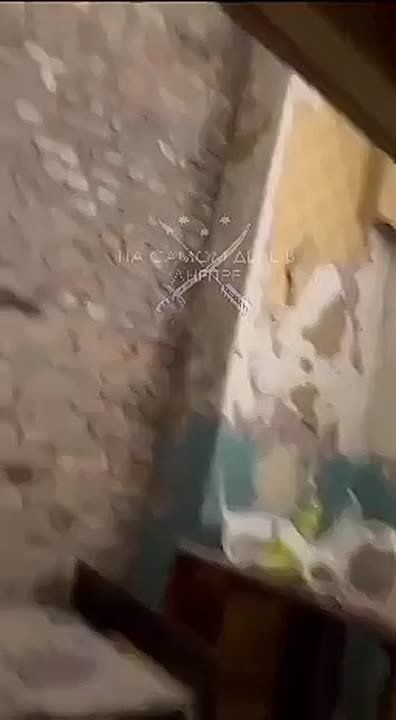 ���� ���������� �����-������ �������� ������������ �� ��������, ������� ��������, ������� �� ������� ��������� � ��� ���������� � ��������� �������� ����������