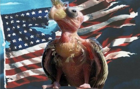 ������������ ������� ����� �� �������, ������������ ����� ����� � ������������ ������� �����