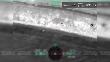 ��������� 656 ����� 29 ����� ������������ ����� ���� ��� � ���������� ���������������� �������