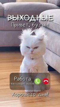 То, что иногда кажется нам суровым испытанием, может обернуться неожиданной удачей