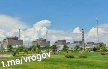 Владимир Рогов: На Запорожской АЭС отключено внешнее электроснабжение