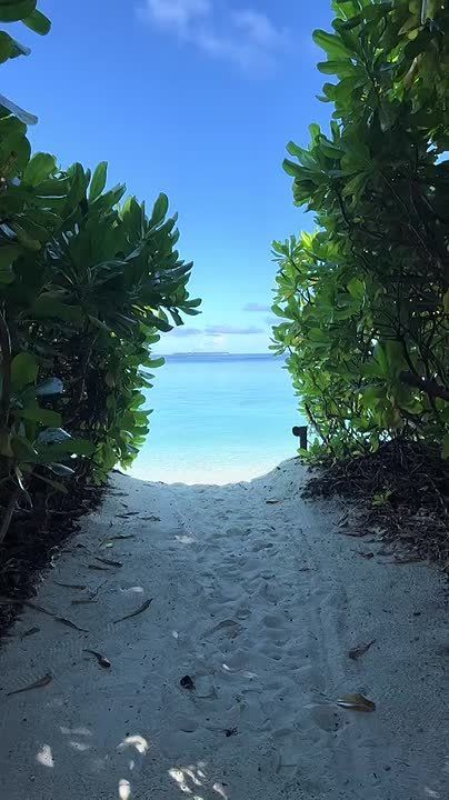 ����������� � ���� � ������ ����������� ������� ������� ���������