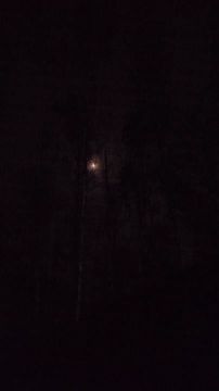 ������� ������ �� ���������� ������� 16 ������ 2026 ����.