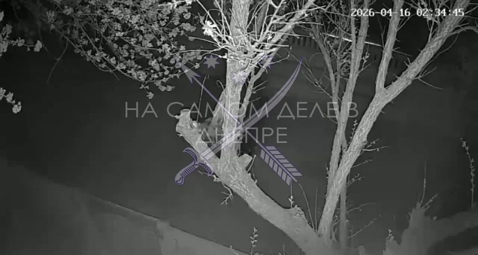 ����� ���� ������ �� ���������������