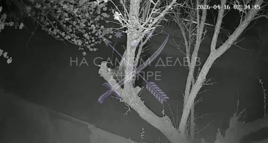 ����� ���� ������ �� ���������������