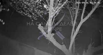 ����� ���� ������ �� ���������������