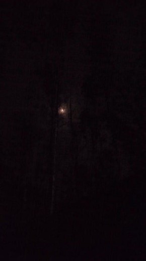 ������� ������ �� ���������� ������� 16 ������ 2026 ����.