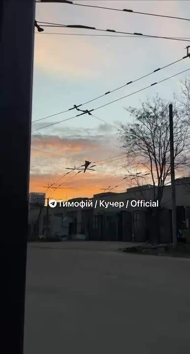 �������� ������ "������" �� �������������� ���� � ���������������