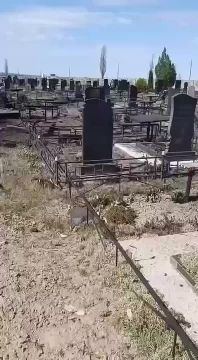 ��� ������� ���������������� ���� �� �������� ������ ������������