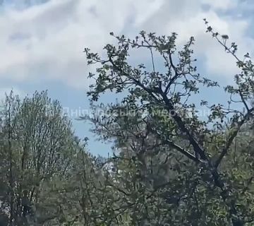 ������ �������: 20 ������ 2026. ���������������� �������: ����� �� ���������� � ��������������� ���������