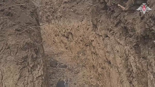 ���������� ������ ����� ��������������� � ������-������������� �������� � ��������� ������������ ���������� ��� ������������� ���������� ���� � ��������� ����������� ������������ ��������� ���� ������������ ���� ��������...