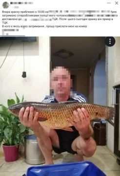 � ������ ���� � ��� ���� ��������������