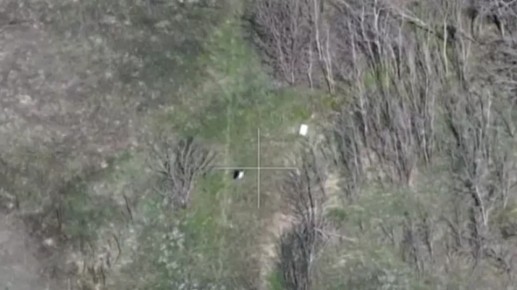 ���������: ������ ���������� ������� � ���� � ���������� ���� �� ������, ��� ������!