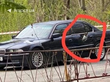 � ��������������� ������� ���������� ��������� �������