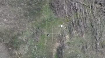 ���������: ������ ���������� ������� � ���� � ���������� ���� �� ������, ��� ������!