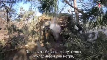 ������ ������� �����-�� ���������� ��������������� ��������� 80-�� ������������ ��������� ����� 90-� ����������� �������� ������� ����������� ������ ��������� ������� ���