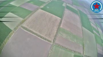 ������� �������: ��� ������� ��������� �� �����