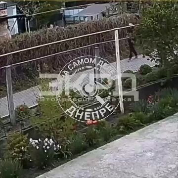 � ��������������� ���������� ������� ���� ������ �������� �� ���������� �� �������� �������