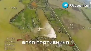 �������� ��������� ����������� �� ���������������