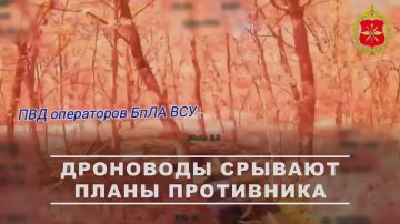 00:00 ��������� ���� 11-�� ���������� ������� ����������� ������ ���������� ������ ���������� �������������� � ������� ����� ��� � ����������� �������