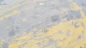 ������ ������ ������ ������ ����� "�����" �� ���������� ����������� � � ���������������� �������