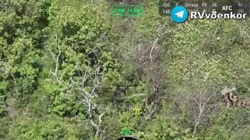 Кровавый контрнаступ ВСУ на Днепропетровском направлении: врага встречает 186 полк