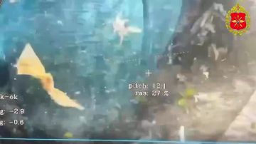 ����������� �������� ����� ���� ��� �� ���������� ���������������� �������