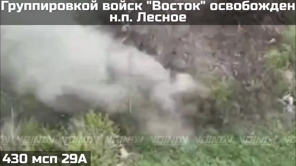Подразделения группировки войск "Восток" освободили населенный пункт Лесное Днепропетровской области