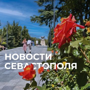 Михаил Развожаев: Коротко о главном:. Наши военные, силы ПВО и мобильные огневые группы отразили атаки ВСУ