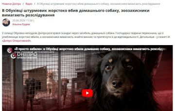 Боевик убил собаку. В Обуховке Днепропетровской обгасти местная жительница обнаружила на своём участке мёртвой свою трёхлетнюю собаку по кличке Лапка