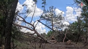 ���������� ������: ������ ������� �����-�� ����������� ������ ��������� ������� ����� ������������ ���