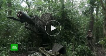 �� �� �������� �� ������� 25 ��� � �������� � �������