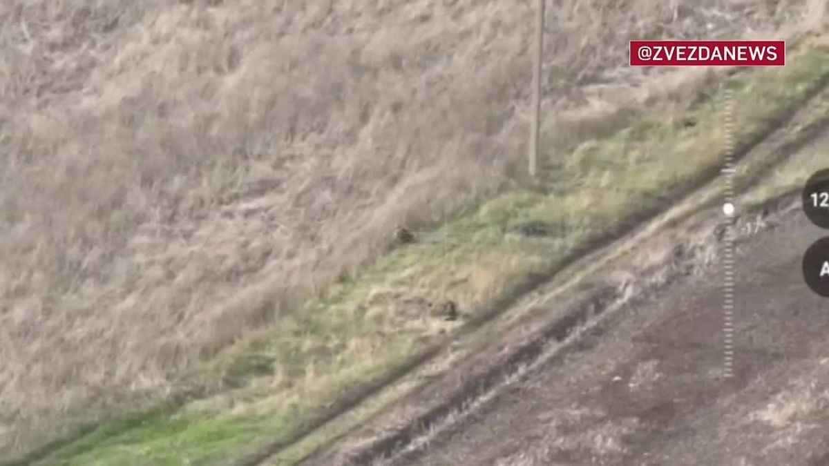 Российский штурмовик отбился от пяти вражеских дронов в Новоподгородном Днепропетровской области Андрей Резиков двигался в сторону поселка, когда услышал приближающийся сзади беспилотник