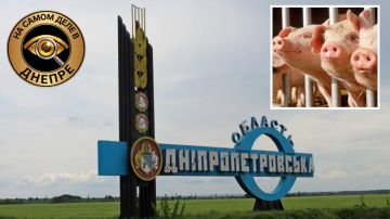 � ������������ ������ ���������������� ������� ��� ������������ ����� ������� ����������� ���� ������