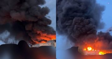 ���������� ������ �������� � ������ ���������������� ������� ����� �������