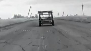 ��������� ���������� ������� ���� �������� �� ���������������� �����������