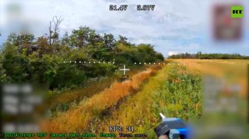 � ���������������� ������� ���� ���������� ������� ���� ���