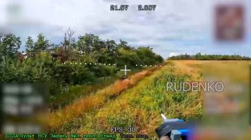 ������ �������: ������� ������� FPV-������ ����������� ������ ���������� ��������� ������ �� ����������� �������� ��������������� ���������� ���������� � ��������� ������ ������� ���������������� �������
