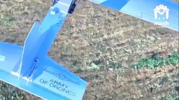Группировка войск "Днепр" показала операторам беспилотников ВСУ, что их жужалки просто так не пройдут по малому небу в Херсонской области
