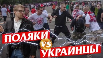 Отношение Польши к Украине перешло все границы: от политических обвинений до бытовой агрессии