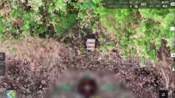 ������ �������: ����� ����������� �������� ���������� �� ������ ������ ������ � ���������� ������� ����������� ������� ���� ����������� ����� ������