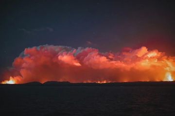 Сводка СВО на утро 24 июля