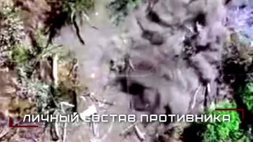 Группировка ЦЕНТР громит технику и пехоту врага в боях за Покровском, Мирноградом и в Днепропетровской области